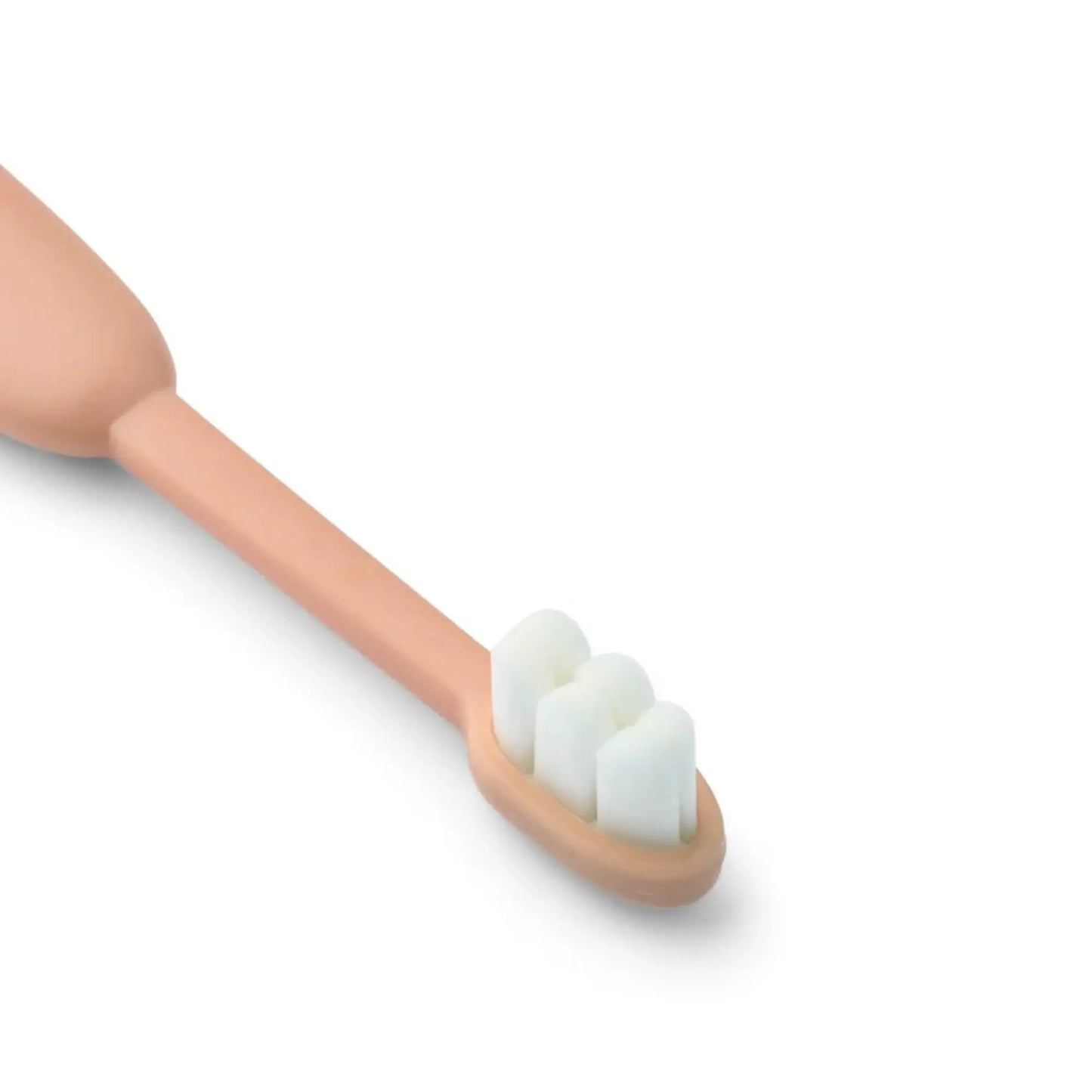 Brosse à dents / Fabio Liewood