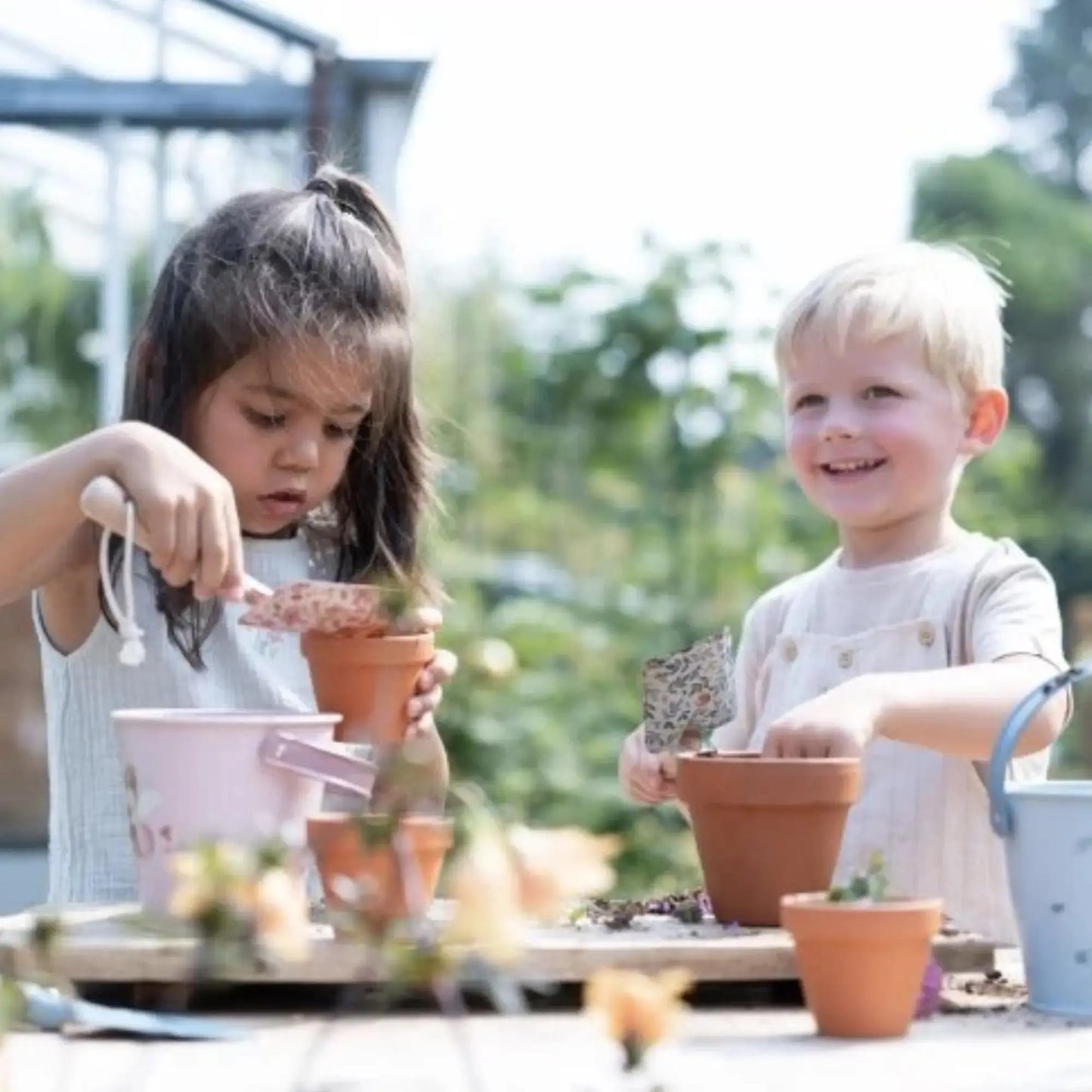 Kit de plantation / Fraise Little Dutch