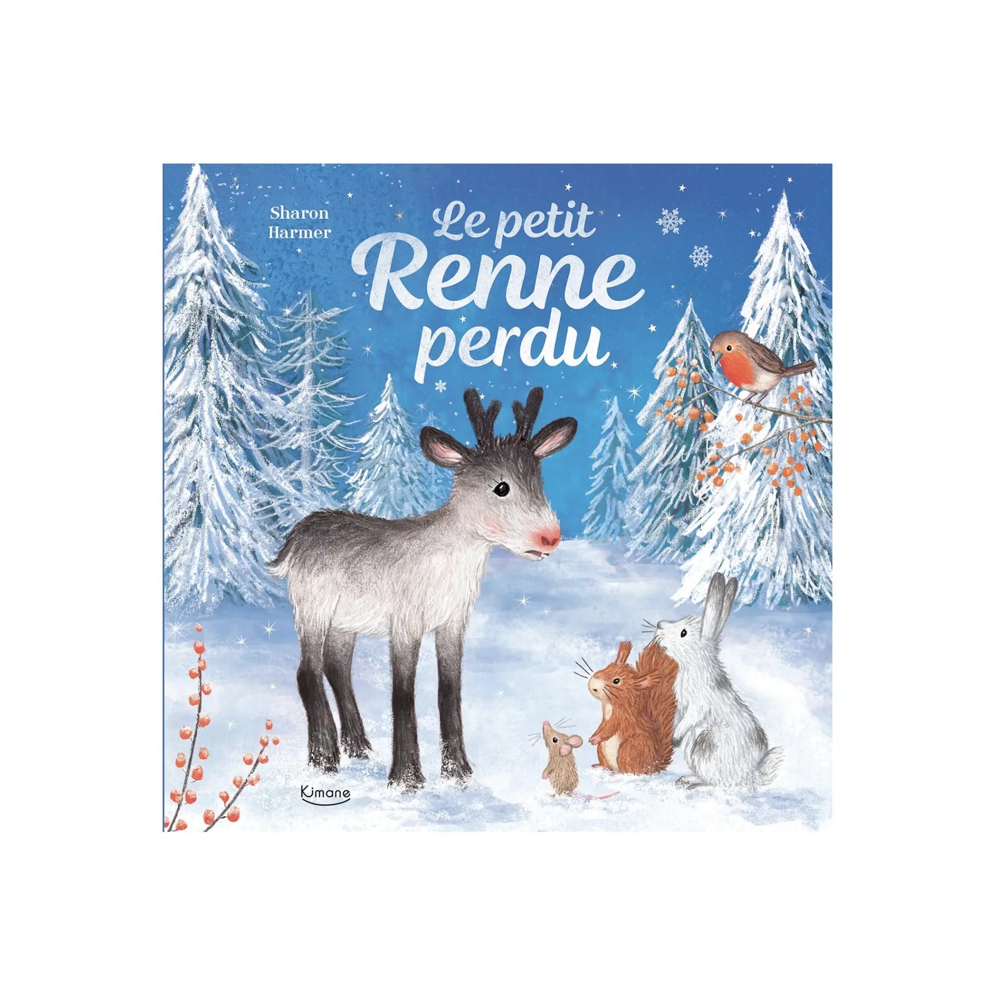 Le petit Renne perdu Auzou