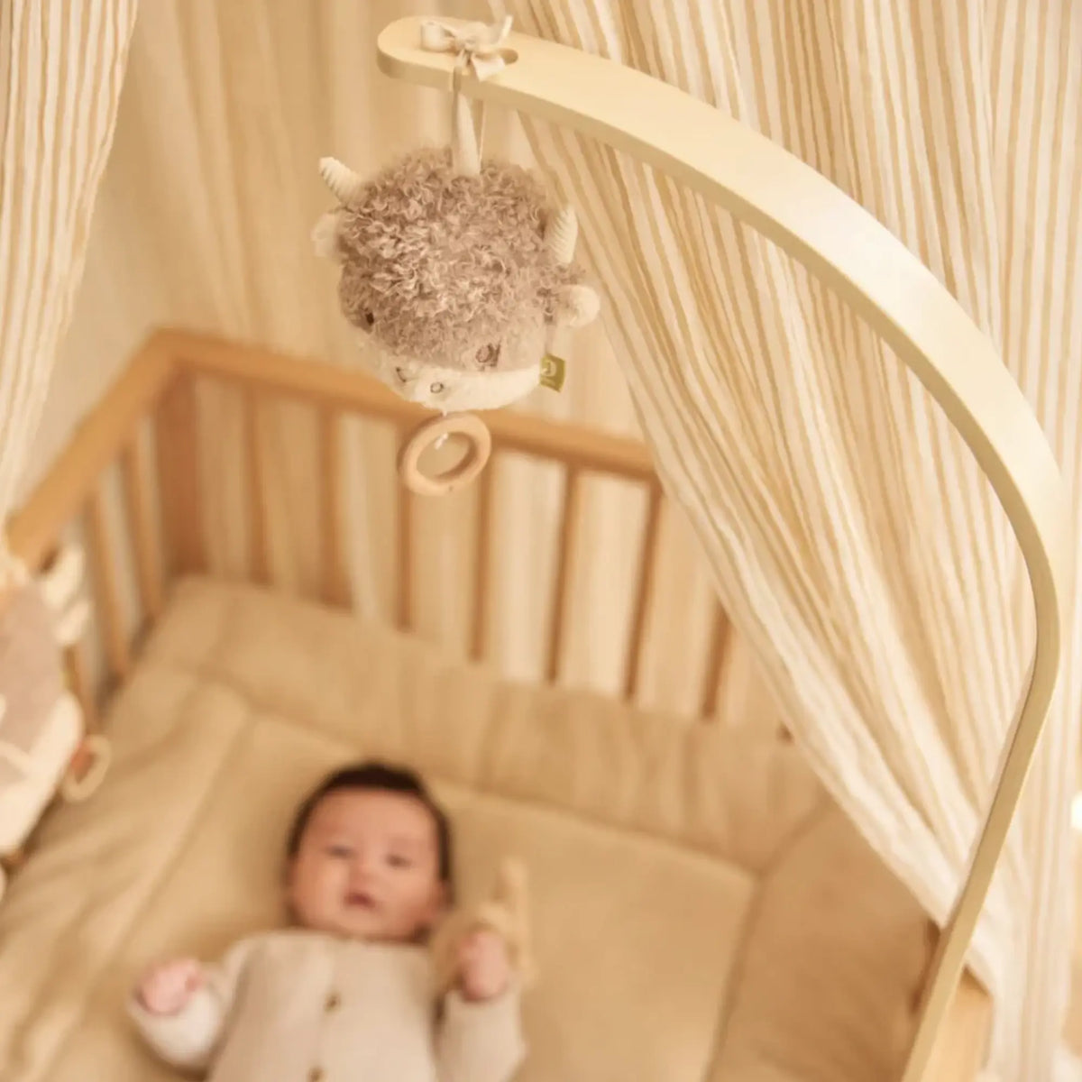 Peluche Musicale / Highlander Chou