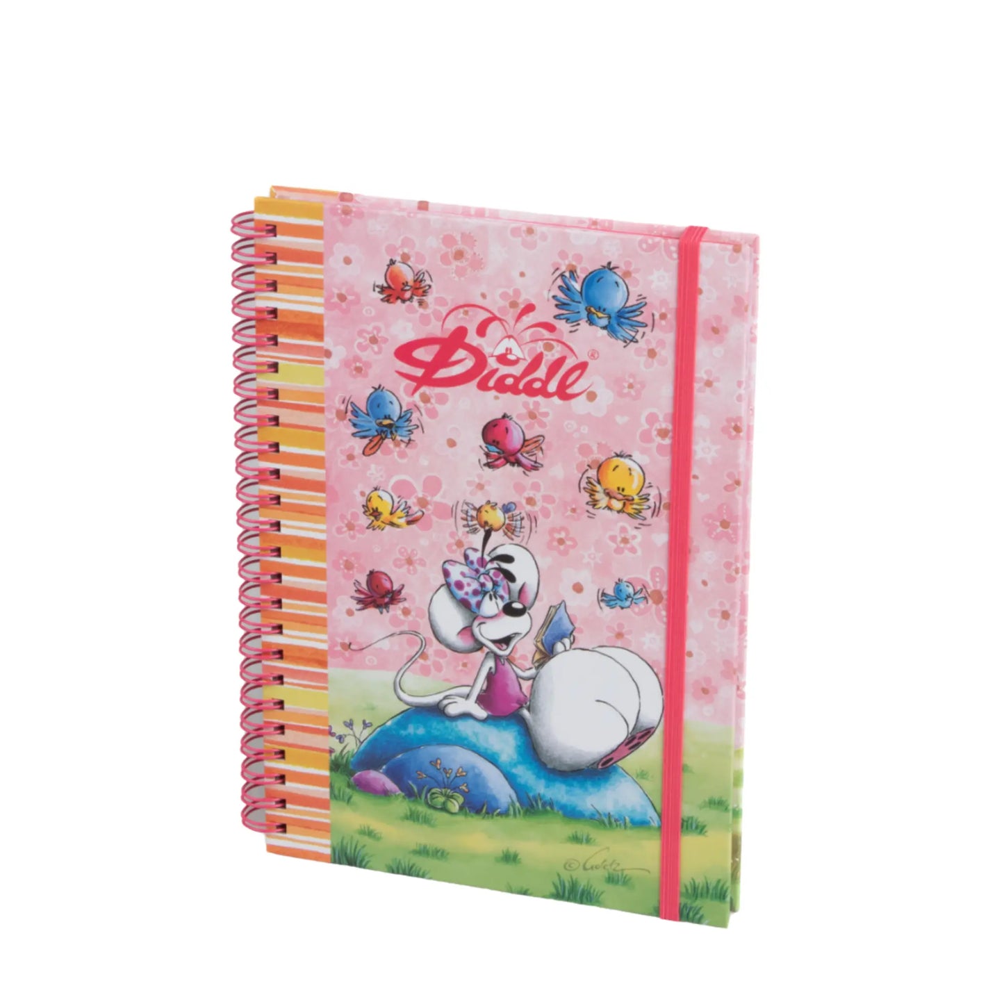 Cahier à spirale A5 / Diddl Summer