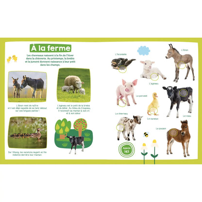 Imagier sonore / Bébés Animaux Auzou