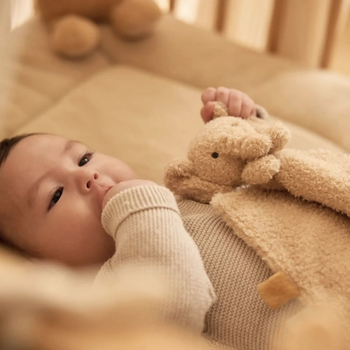 Doudou - Attache sucette / Elephant
