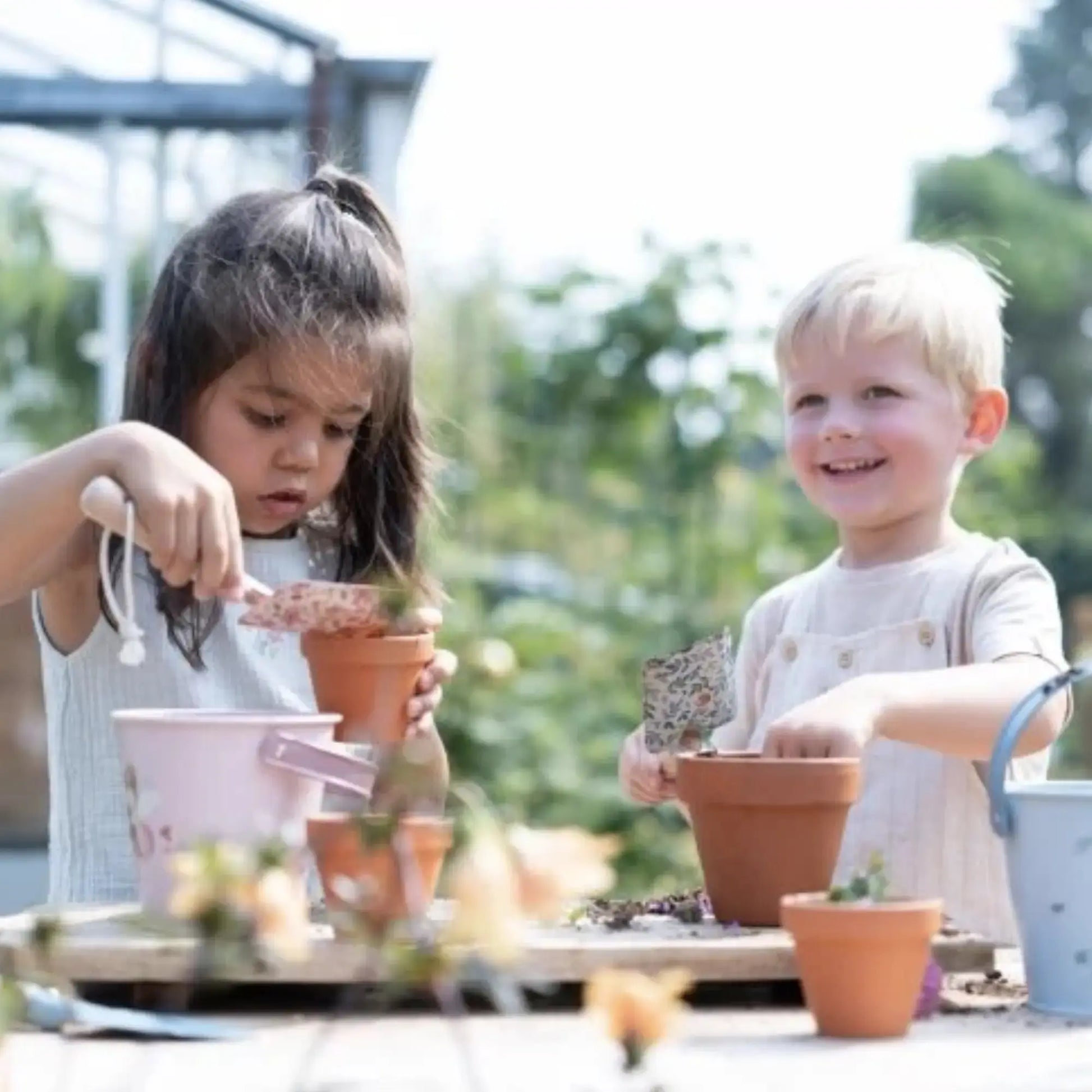 Kit de plantation / Fraise Little Dutch