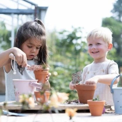 Kit de plantation / Fraise Little Dutch