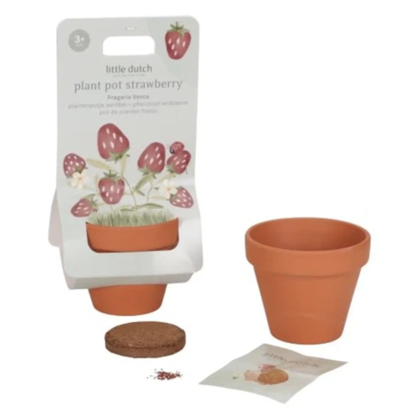 Kit de plantation / Fraise