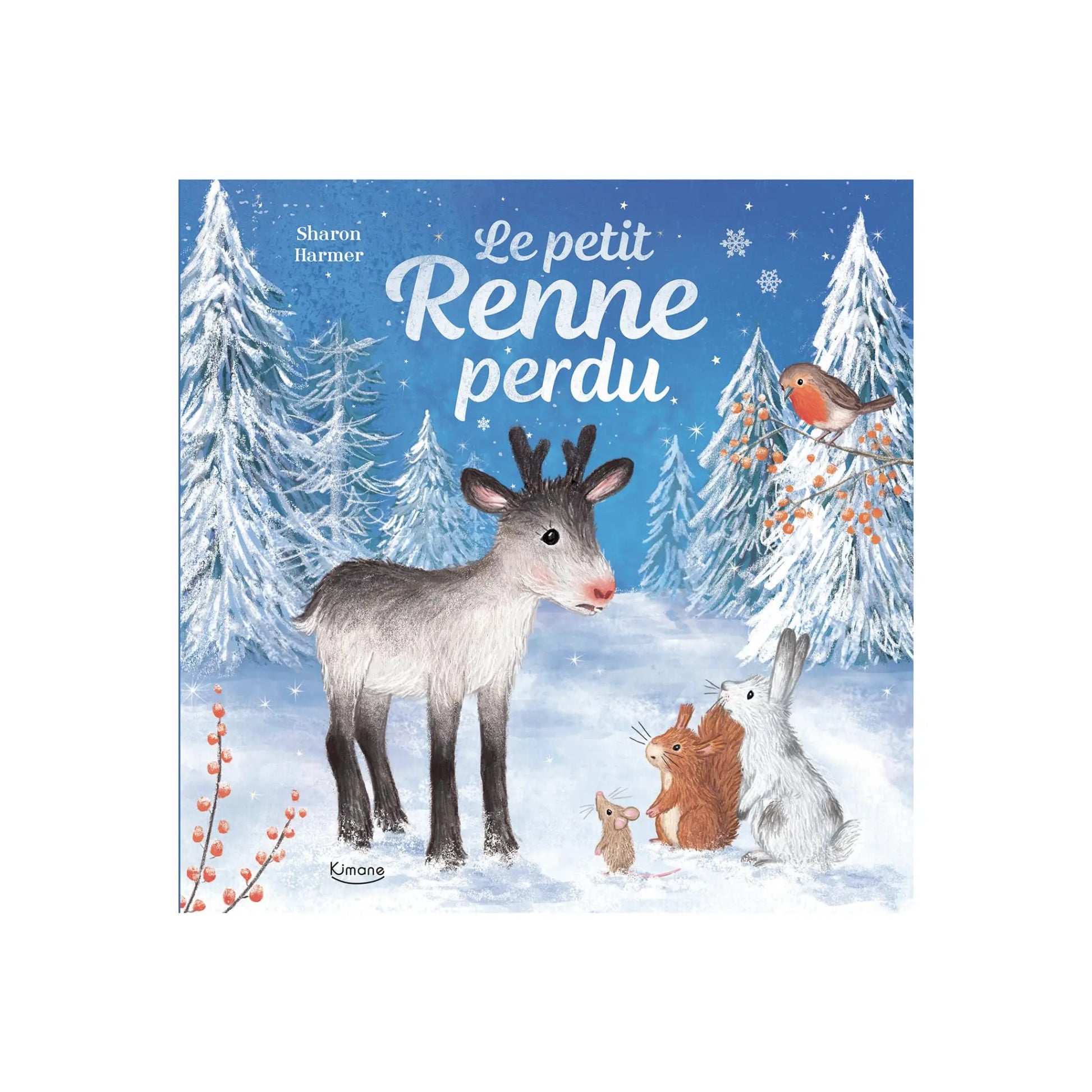 Le petit Renne perdu Auzou